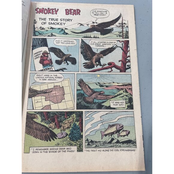 Western Publishing The True Story Of Smokey Bear Comic Vintage 1960, 1964, 1969 - Picture 4 of 7